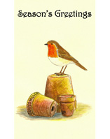 Christmas card 2010 - Robin