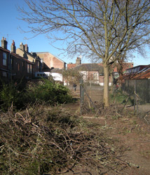 Site clearance March 2010