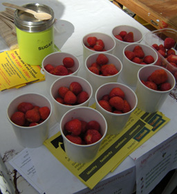 St. Benedict's Street Fair stall