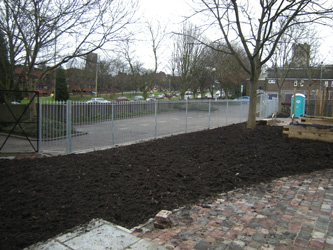 Bindweed Removal