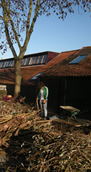 Bindweed Removal