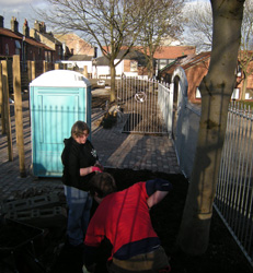 Bindweed Removal