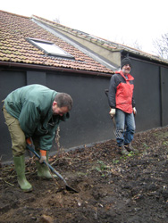 Bindweed Removal