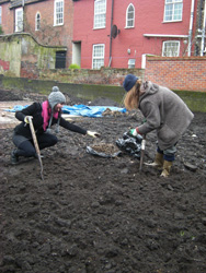 Bindweed Removal