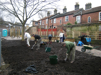 Bindweed Removal