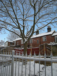 Grapes Hill Community Garden - Snow is lying