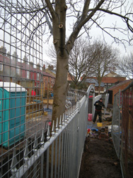 Grapes Hill Community Garden - Top section of railings