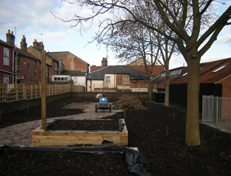 Grapes Hill Community Garden - Trellis complete