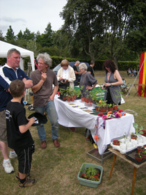 Mile Cross Festival stall