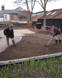 Preparing the ground