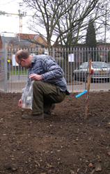 Sowing wildflower meadow