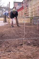 Sowing wildflower meadow