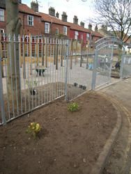 Mahonias outside garden gates