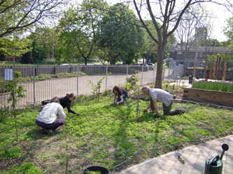 Weeding the wildflower meadow