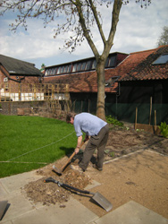 Digging planting holes for Bay trees