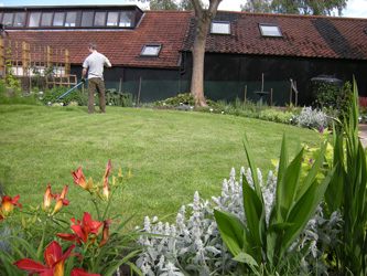 Raking the lawn