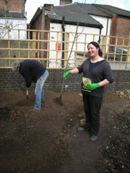 Ready to plant the Juneberry