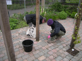 Spring 2012