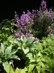 June 2012