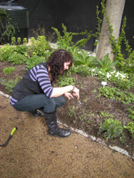 Spring 2012