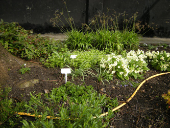 Spring 2012