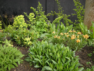Spring 2012
