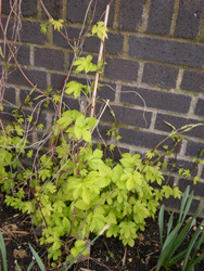 Spring 2012